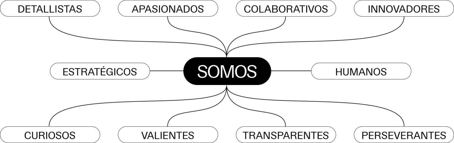 como somos agencia dinamiza digital